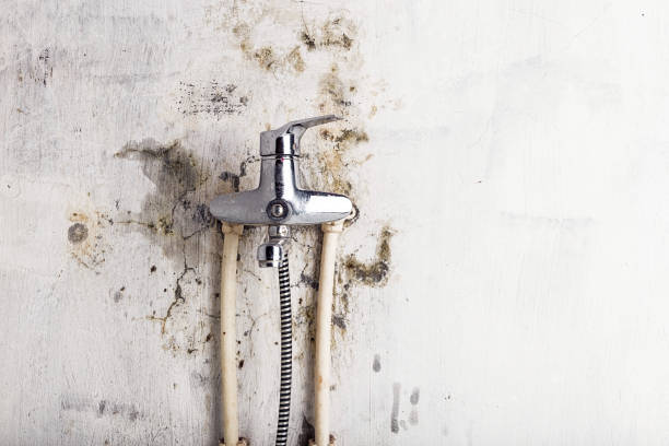 Best Mold Removal Near Me  in Midwest City, OK