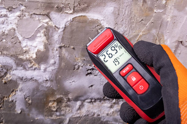 Best Home Mold Removal  in Midwest City, OK