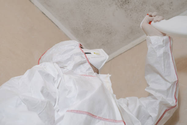Best Residential Mold Removal  in Midwest City, OK